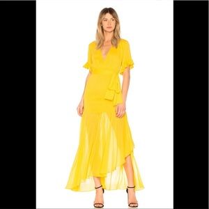 NWT’s Privacy Please CHRYSANTHEMUM GOWN